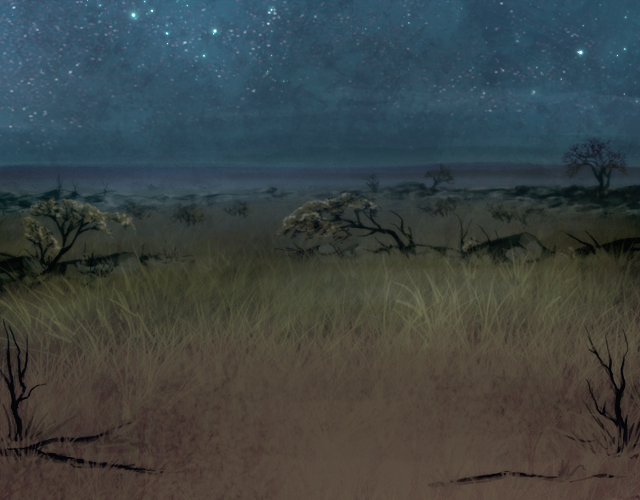 Shrublands_Night.png