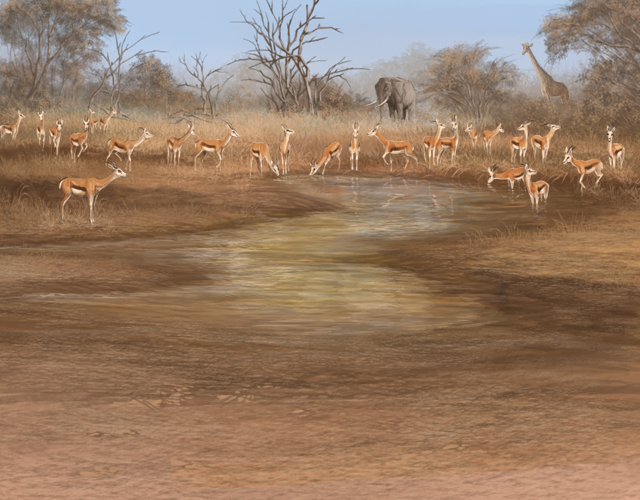 busywaterhole.png