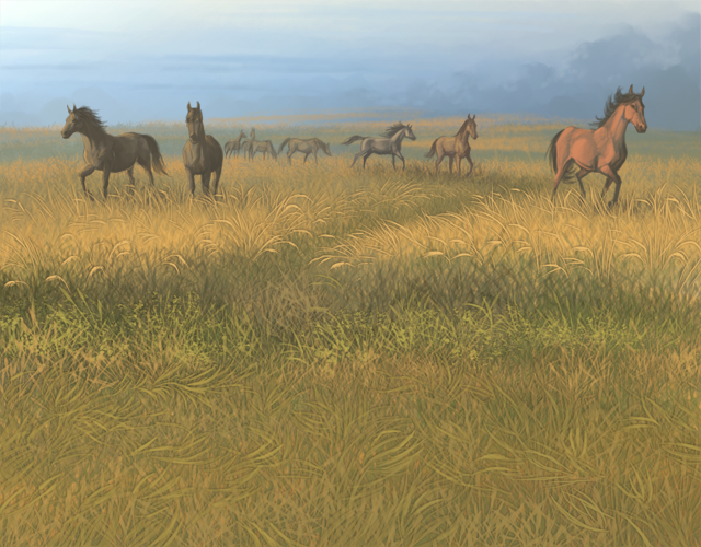 equinefields.png