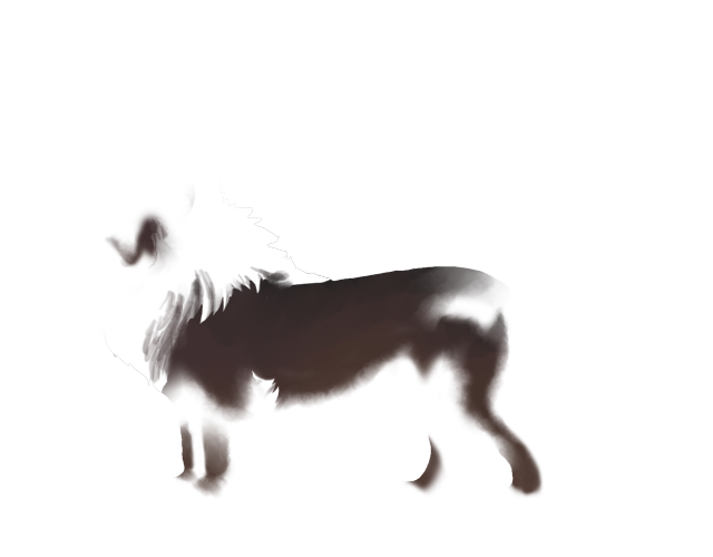 𝕭𝖑𝖎𝖌𝖍𝖙 :|: Lioden