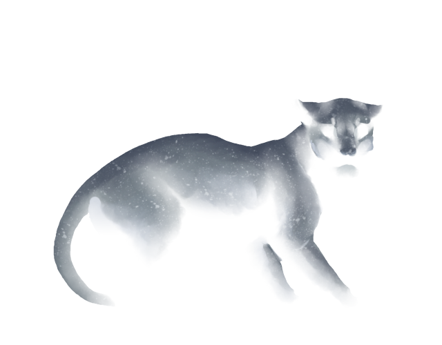 lion-page-lioden