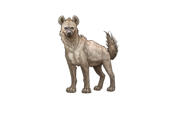 AlbinoHyenaDAY.png