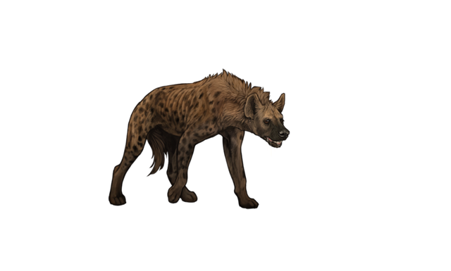 starvingspottedhyenaday.png