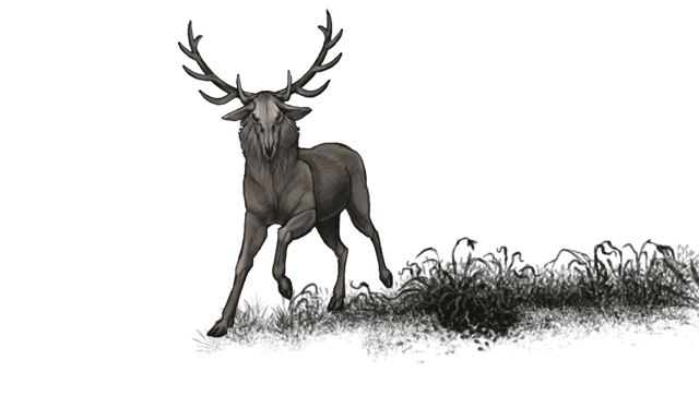 omendeerDAY.png
