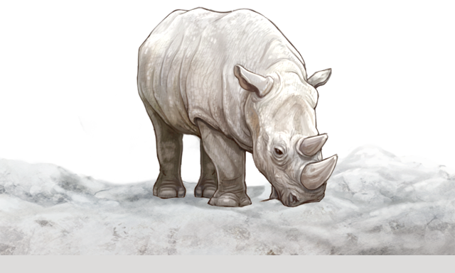 albinorhinoday.png