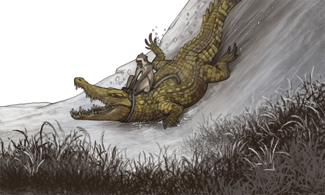 crocsledday.png