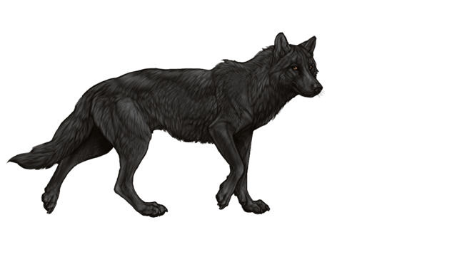 wolfday.png