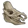 RhinoSkull.png