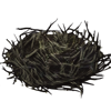 abandonednest.png