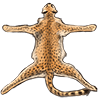 cheetahskin.png