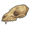 civetskull.png