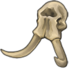 elephantskull.png