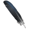 It's a mysterious crow feather.