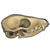 fennecskull.png