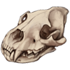 Spotted Hyena Skull