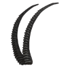 sablehorns.png