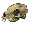 skull_hyrax.png