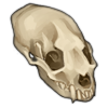 skull_otter.png