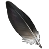 Stork Feather