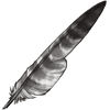 stripedeaglefeather.png