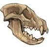 stripedhyenaskull.png