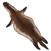 weaselpelt.png