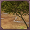 This critical water source for animals and humans alike make it an oasis in an unforgiving land.