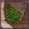 What a beautiful cave! It's the perfect place to escape the sun and enjoy the cool, damp atmosphere.