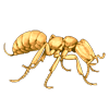 Beetle Nemesis: Adetomyrma venatrix
