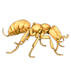 EVENTBEETLE_adetomyrmavenatrix.png