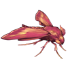 EVENTBEETLE_beetledeilephilaporcellus.png