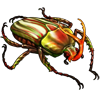 EVENTBEETLE_eudicellagralli.png