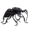 EVENTBEETLE_manticorascabra.png