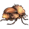 EVENTBEETLE_sparmanniaflavia.png