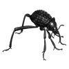 Event Beetle: Stenocara gracilipes