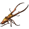 OASISBEETLE_cyclommatusmetallifer.png