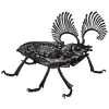 OASISBEETLE_rhipicerafemorata.png