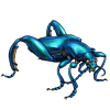 OASISBEETLE_sagrabuqueti.png