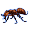 Beetle Nemesis: Adetomyrma venatrix [Brown]