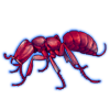 Beetle Nemesis: Adetomyrma venatrix [Ruby]