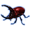 Beetle: Augosoma centaurus [Red]