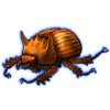 Beetle: Bolbaffer princeps [Orange]