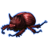 Beetle: Bolbaffer princeps [Red]