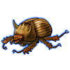 Beetle: Bolbaffer princeps [Yellow]
