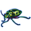 Beetle: Calidea dregii [Green]