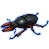 Beetle: Colophon primosi [Red]