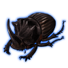 Beetle: Copris dracunculus [Dark]