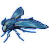 Beetle Nemesis: Deilephila porcellus [Blue]