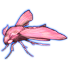 Beetle Nemesis: Deilephila porcellus [Pastel]