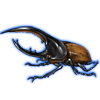 Beetle: Dynastes hercules [Brown]